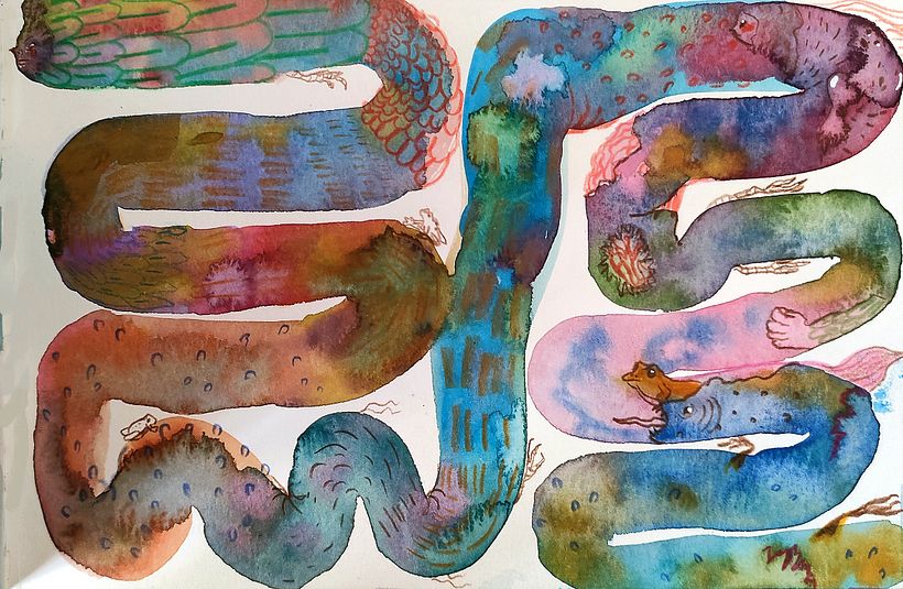 Colores discordantes, quimeras