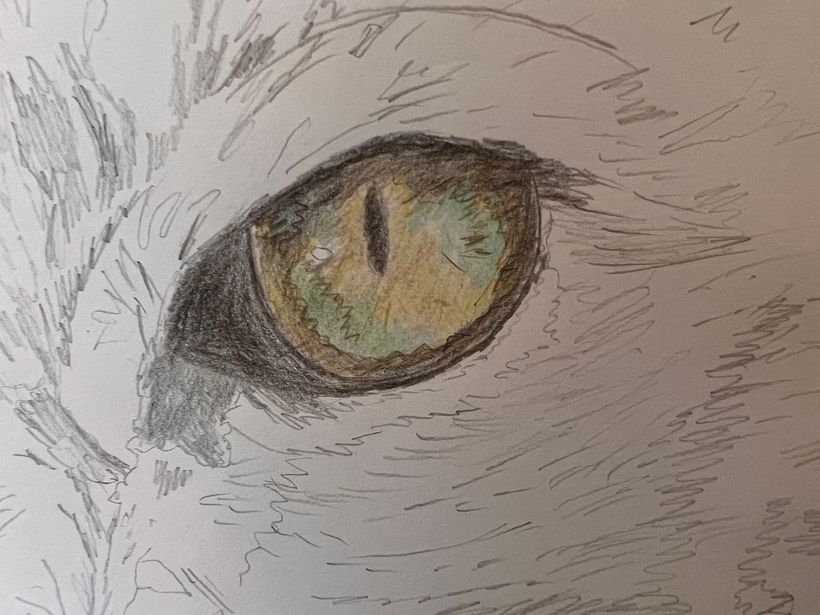 Misty’s eye