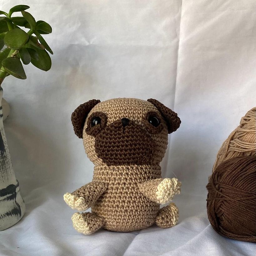 Mi proyecto del curso: Técnicas de crochet para tejer amigurumis 2