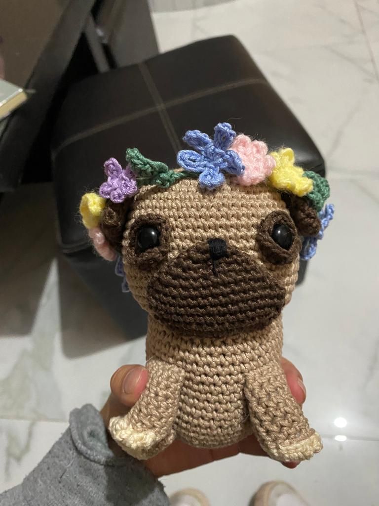 Mi proyecto del curso: Técnicas de crochet para tejer amigurumis 3