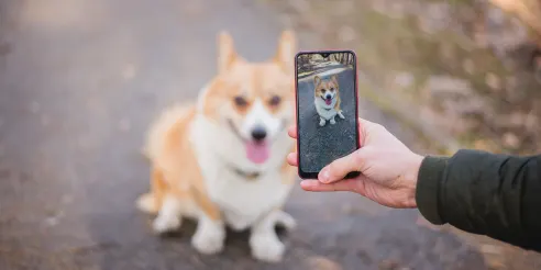 14 tipos de fotografía que debes conocer 25