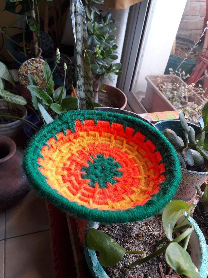 Cetrería artesanal 1