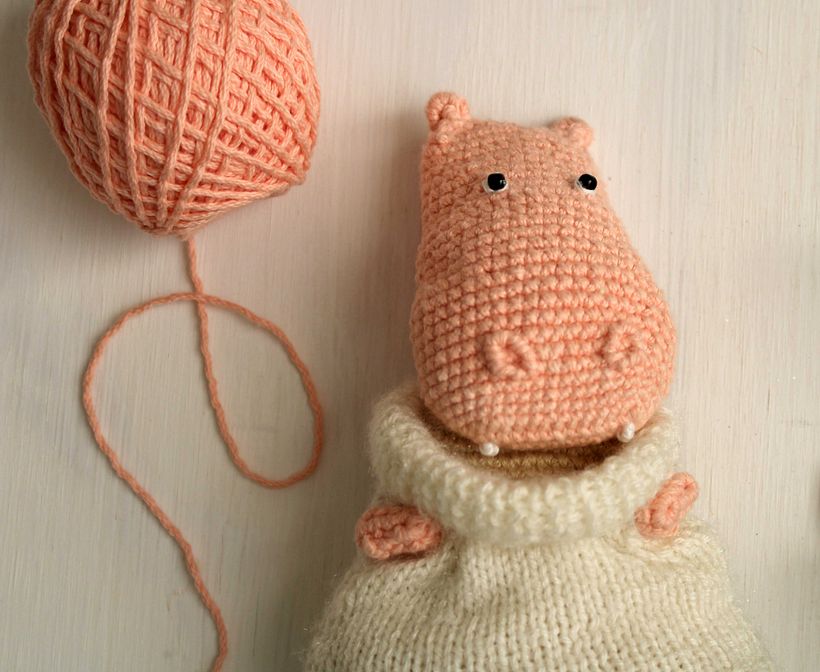 Hippo 2D 1