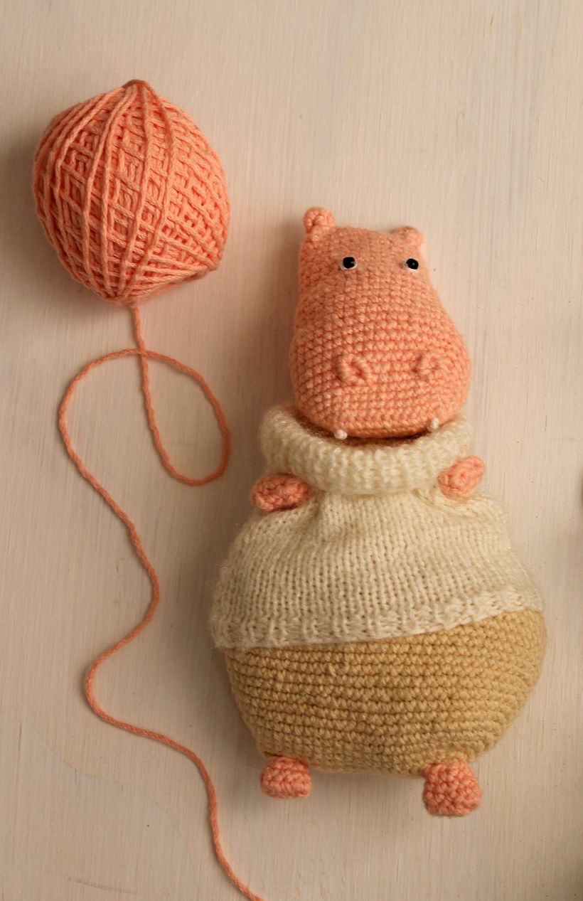 Hippo 2D 2