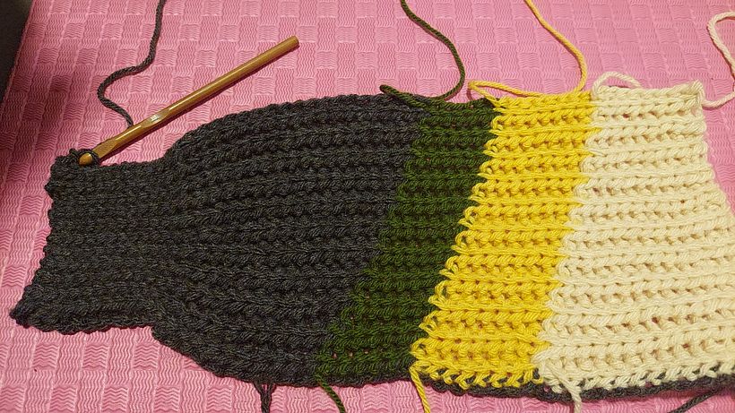 Mi proyecto del curso: Crochet: crea prendas con una sola aguja 2