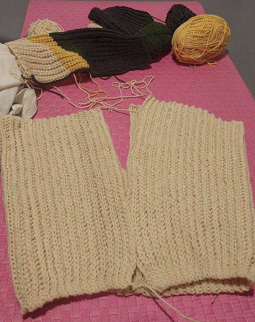 Mi proyecto del curso: Crochet: crea prendas con una sola aguja 3