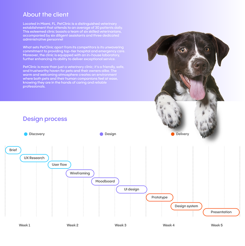 Mi proyecto del curso: Diseño de interfaces para sitios web y aplicaciones 3