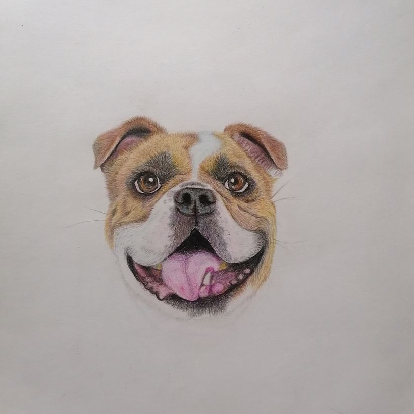 Este es mi proyecto, estoy feliz ya qué no soy para nada experta en el dibujo, me falta mucho por mejorar definitivamente, agradecería retroalimentacion :)  1