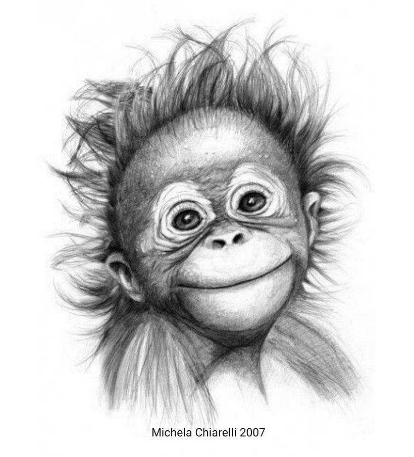 Il mio progetto del corso: Illustrazione sperimentale e creativa con china e acrilico 1