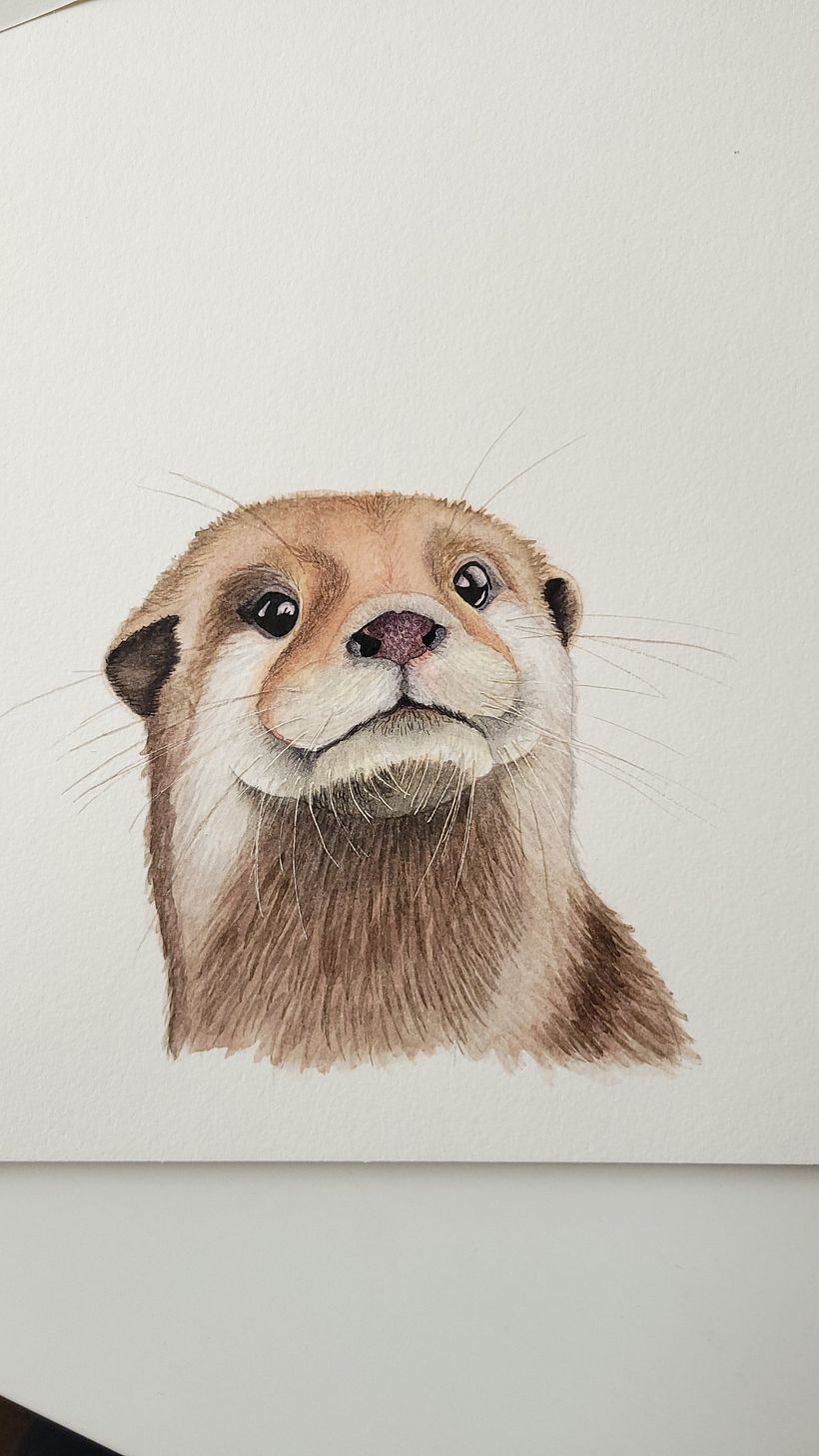 Final otter with all details done