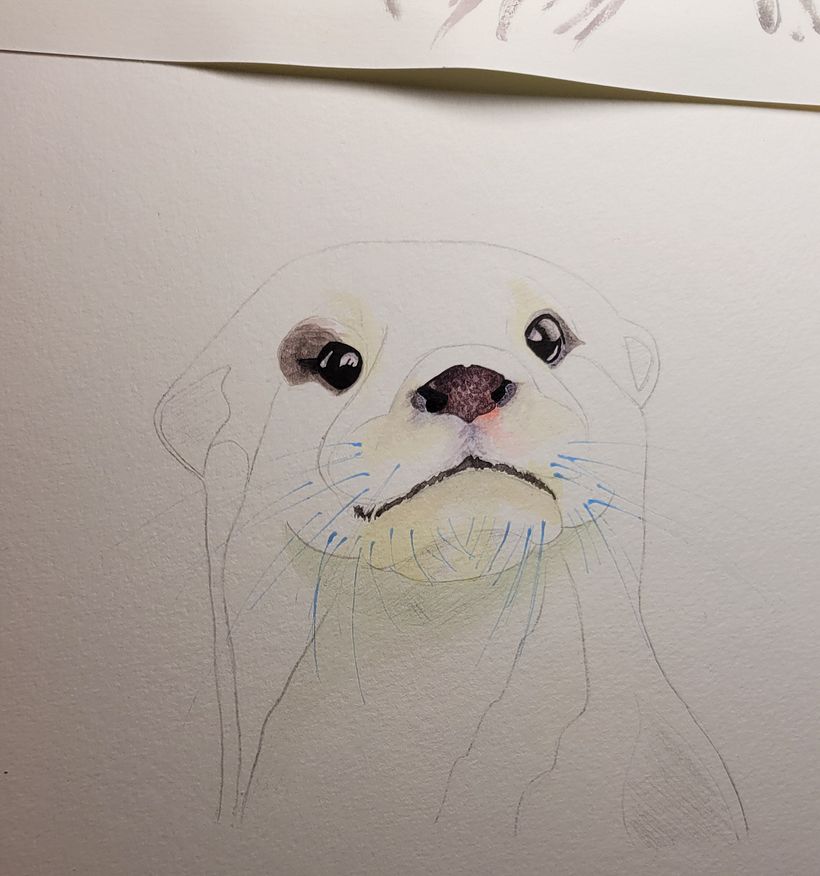Preparations and eyes 