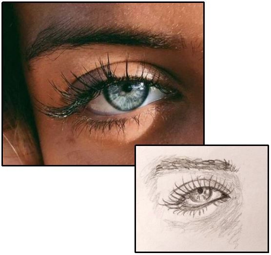 Primi passi su Sketchbook 2