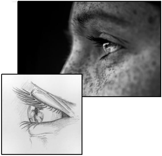Primi passi su Sketchbook 3