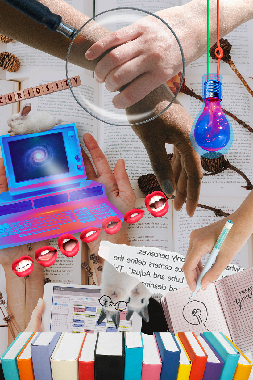 Collage Look & Feel - El Aracle