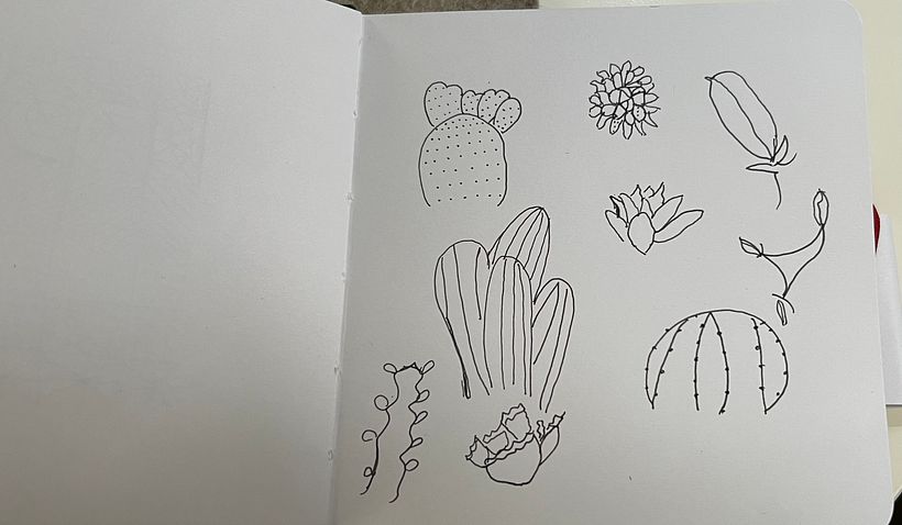 My first attempts on the course