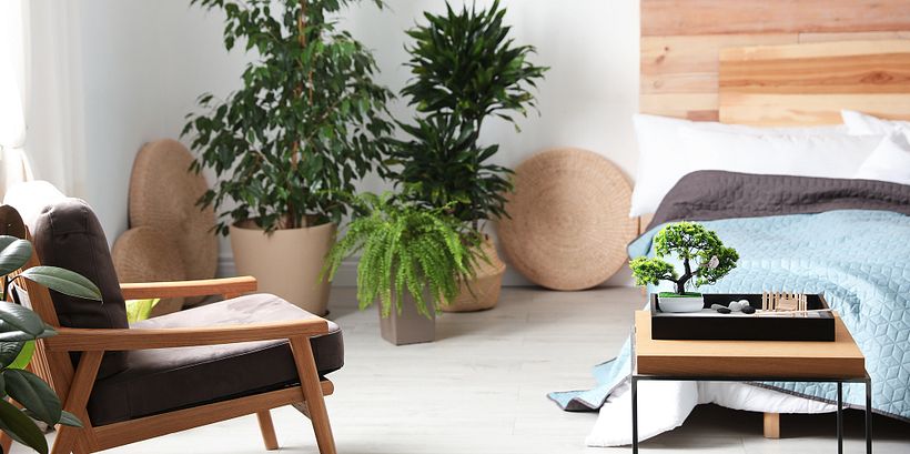 What is Feng Shui and How Can It Benefit You? 3