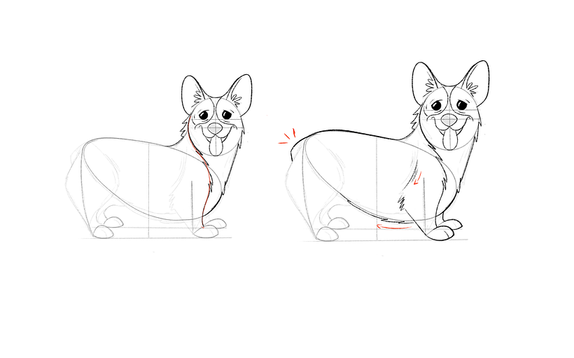 How to draw a corgi step 7 adding fur