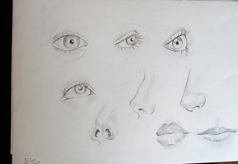 Meu projeto do curso: Caderno de retratos: explore o rosto humano 1