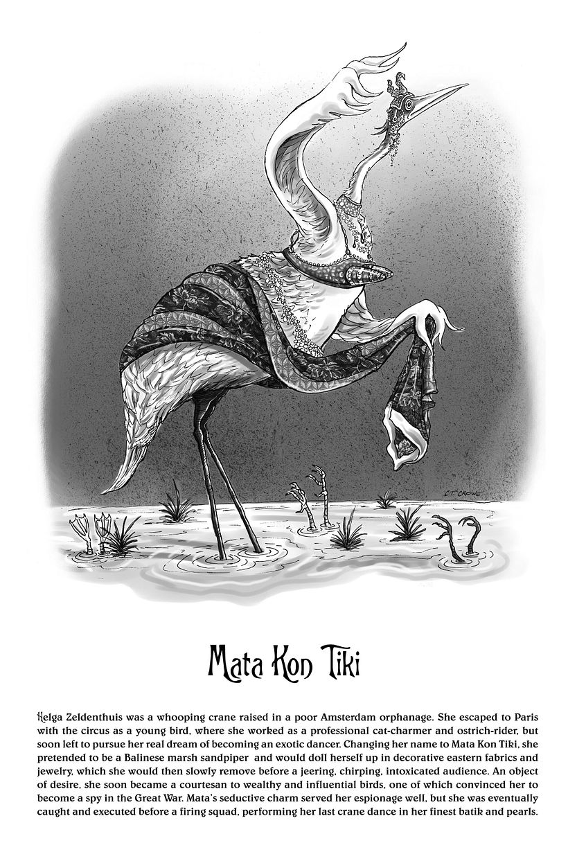 Birds of the Belle Epoque 5