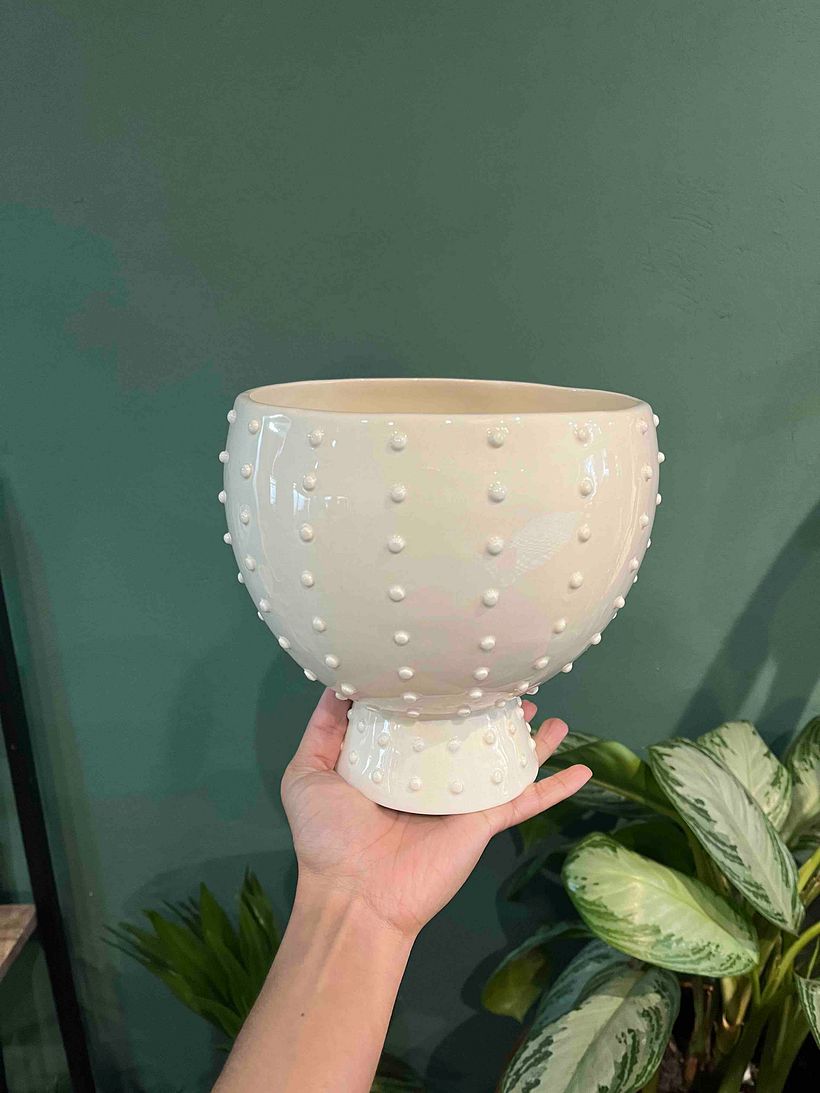 Copa Floral con puntos