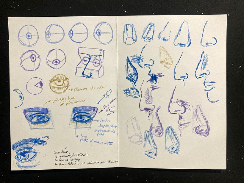 Estudos de nariz e olhos