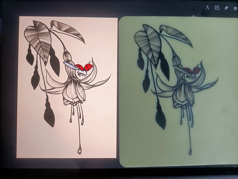 Comparativa del diseño inicial y resultado final