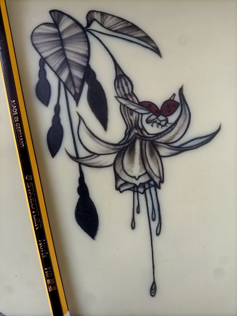 Detalle del resultado