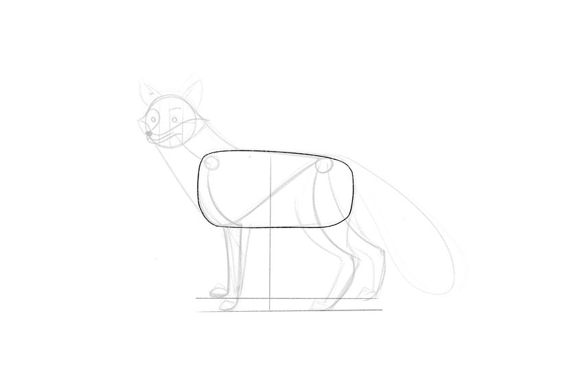 How to Draw a Fox Step by Step 6