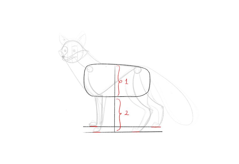 How to Draw a Fox Step by Step 8