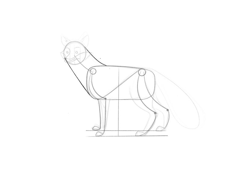 How to Draw a Fox Step by Step 15