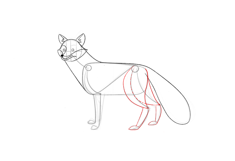 How to Draw a Fox Step by Step 18