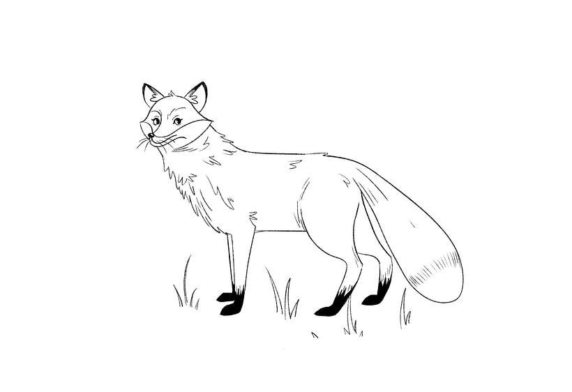 How to Draw a Fox Step by Step 20
