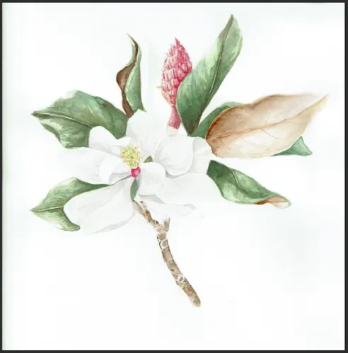 Example of a scanned image without retouching