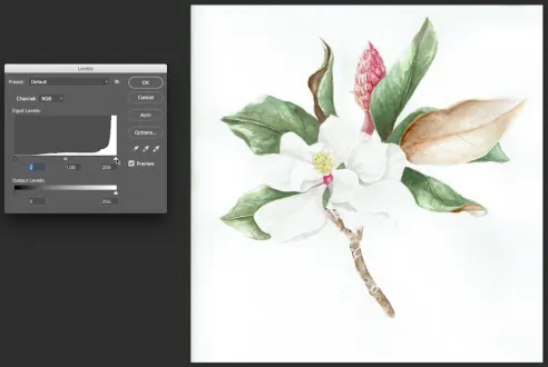Color adjustment by levels