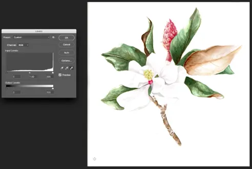 Background adjustment with the dropper.