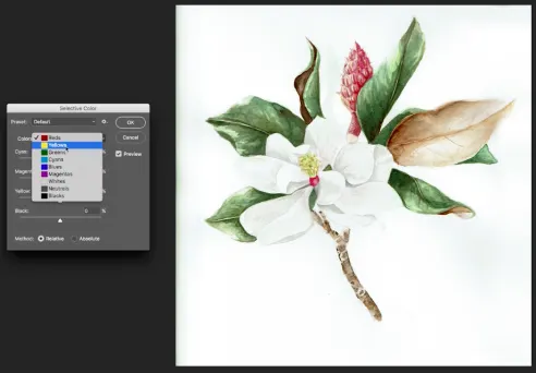 Background adjustment with selective color.