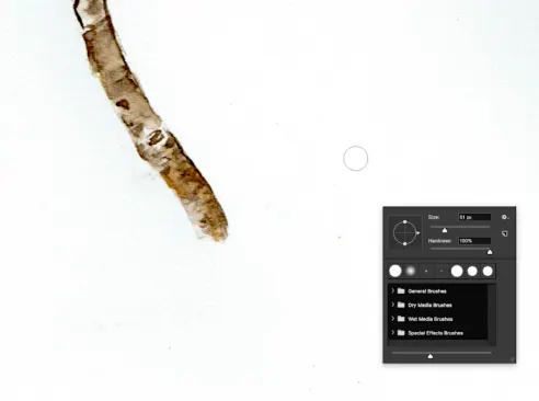 Background adjustment with clone buffer color.