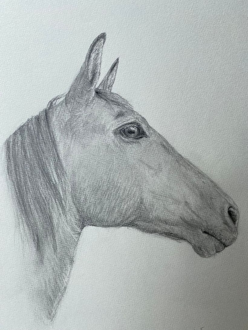 The Spanish mare