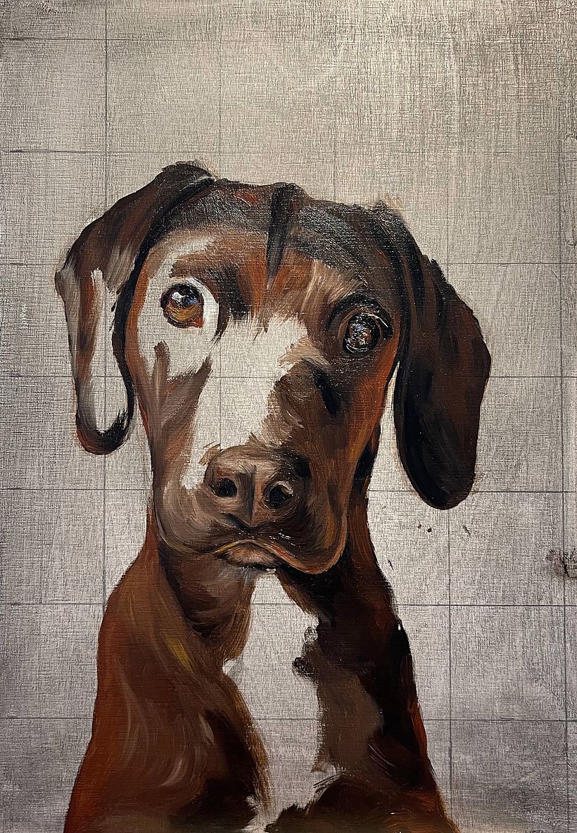 Mi proyecto del curso: Retrato realista de mascotas con pintura al óleo 6