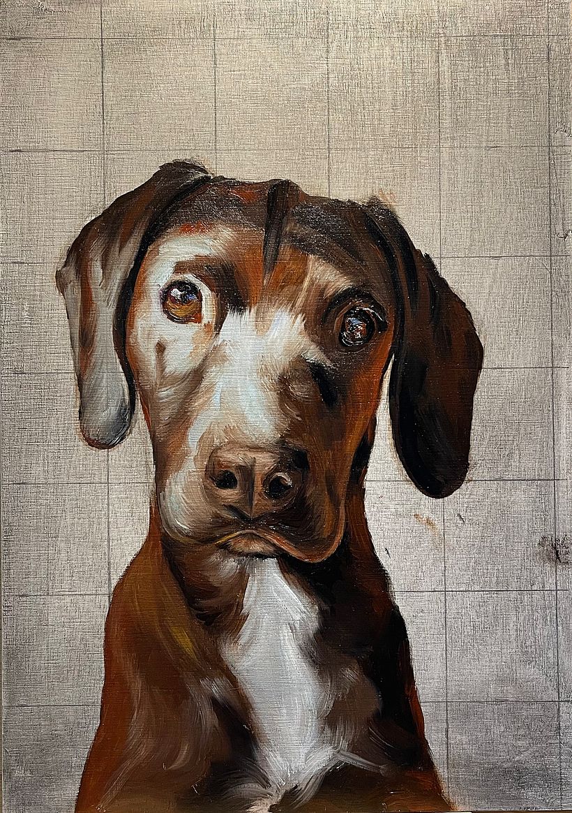 Mi proyecto del curso: Retrato realista de mascotas con pintura al óleo 7
