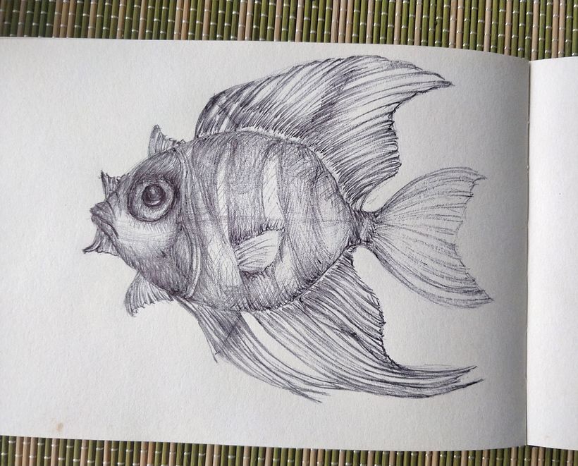 Ladybug after the transformation into the fish