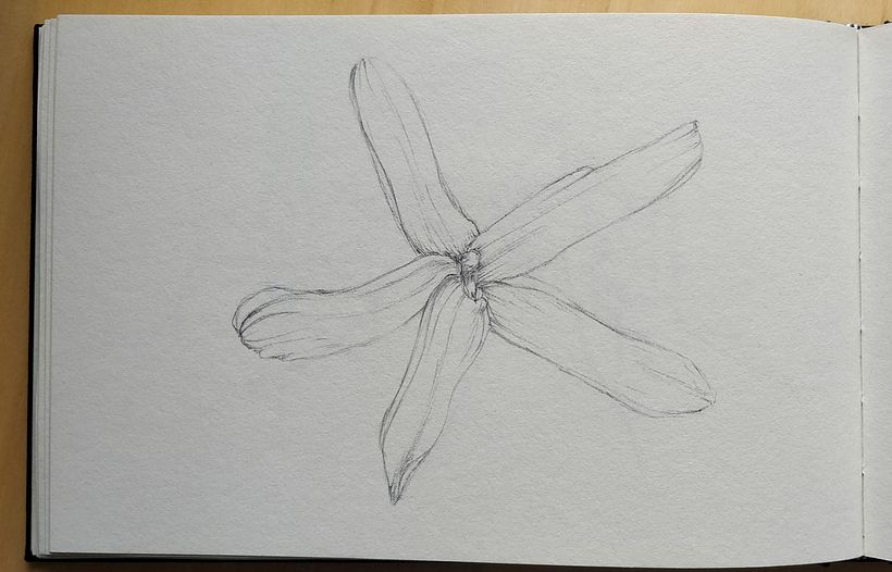 My project for course: Sketchbook Illustration with Pen: Embracing Mistakes 4
