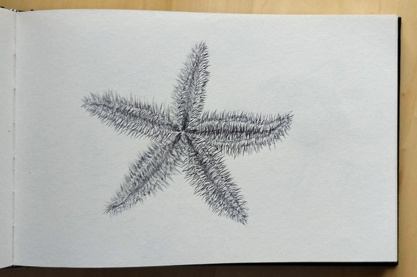 My project for course: Sketchbook Illustration with Pen: Embracing Mistakes 5
