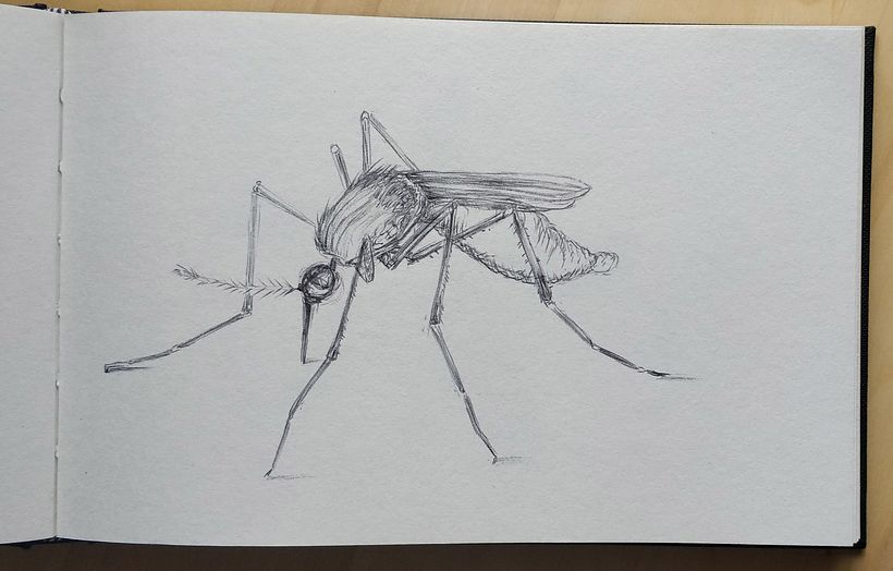 My project for course: Sketchbook Illustration with Pen: Embracing Mistakes 6