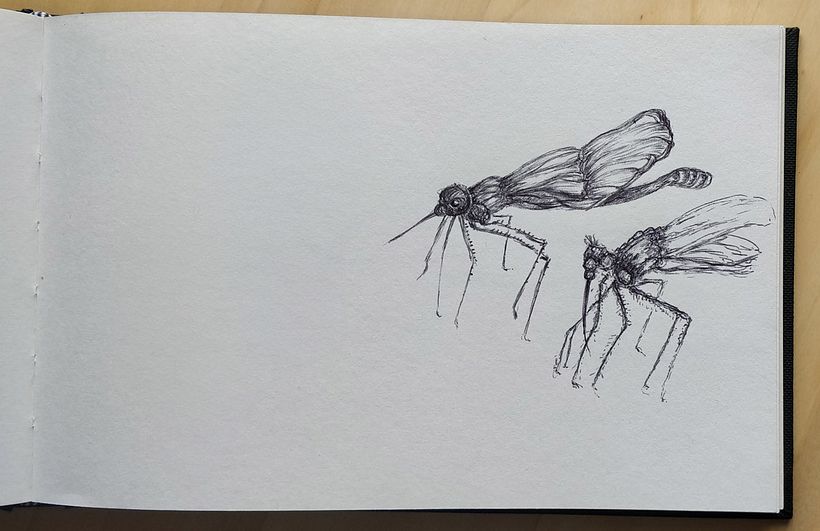My project for course: Sketchbook Illustration with Pen: Embracing Mistakes 9