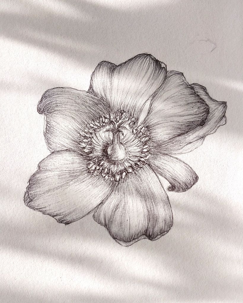 My project for course: Sketchbook Illustration with Pen: Embracing Mistakes 14