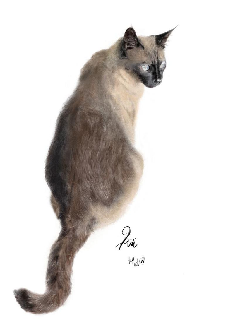 ARI - procreate 1er trabajo 3