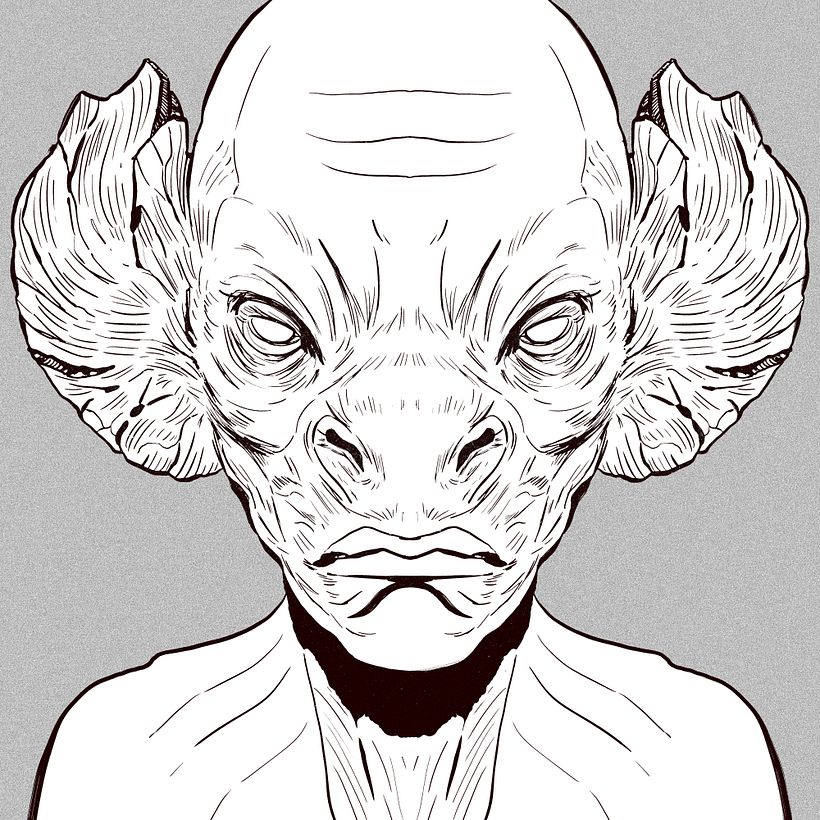 Sketchbook: Symmetrical Portraits - 01 8