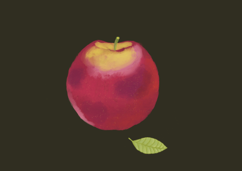 Final project: Procreate for Beginners: Digital Illustration 101 2