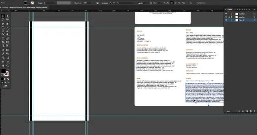 Once the guides have been outlined (in blue), it is time to add the information